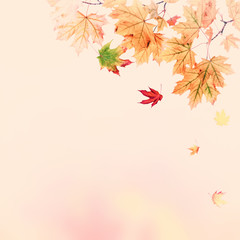 Fototapeta premium Autumn vintage background