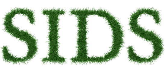 Sids - 3D rendering fresh Grass letters isolated on whhite background.