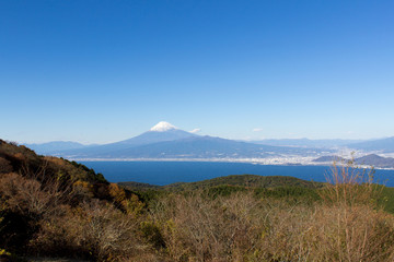 Fototapeta premium だるま山高原からの富士山 
