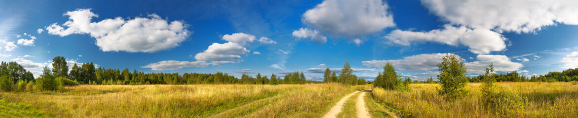 panorama rural summer landscape with a road,field and forest. - obrazy, fototapety, plakaty