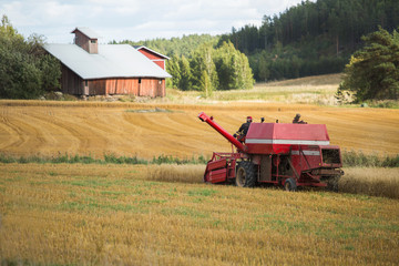 Combine harvester on a field