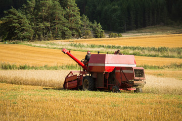 Fototapeta na wymiar Combine harvester on a field