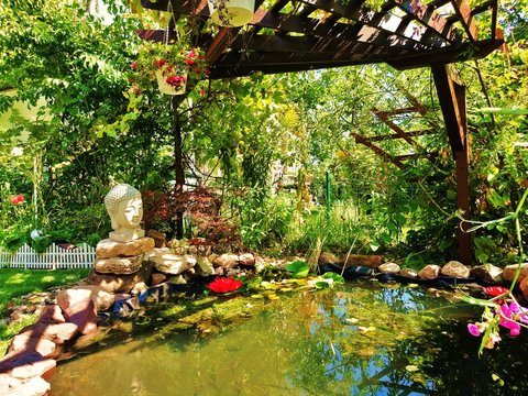 romantischer Schrebergarten / Teich / Seerosen 