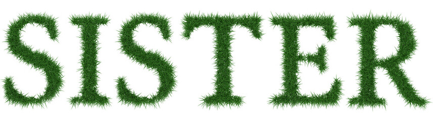 Sister - 3D rendering fresh Grass letters isolated on whhite background.