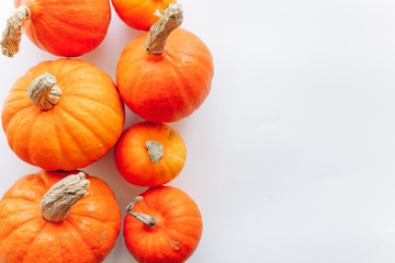 pumpkins on white background