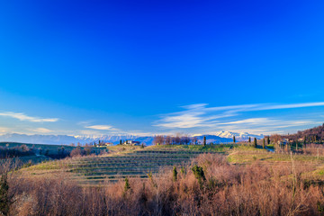 Sunset in the vineyards of Rosazzo