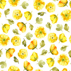 Seamless pattern of watercolor yellow flower isolate on white background. Wildflowers for wedding cards.