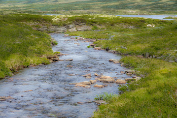 River flowing in the Rondane National park in Norway - 1