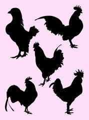 Roosters gesture silhouette 05. Good use for symbol, logo, web icon, mascot, sign, or any design you want.