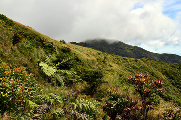 Peak of Pico da Vara (azores)