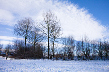 Obraz na płótnie Canvas snow landscape in winter