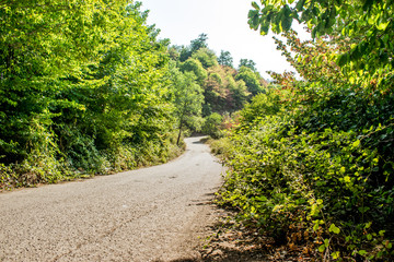 Beautiful Summer Mountain Road