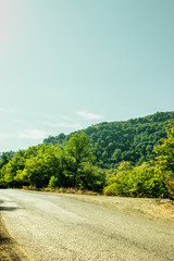 Beautiful Summer Mountain Road