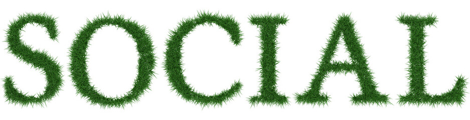 Social - 3D rendering fresh Grass letters isolated on whhite background.