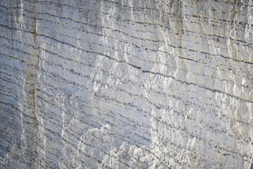 Rock Wall