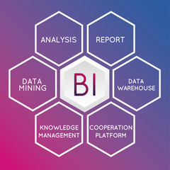 Vector concept related to structure of business intelligence