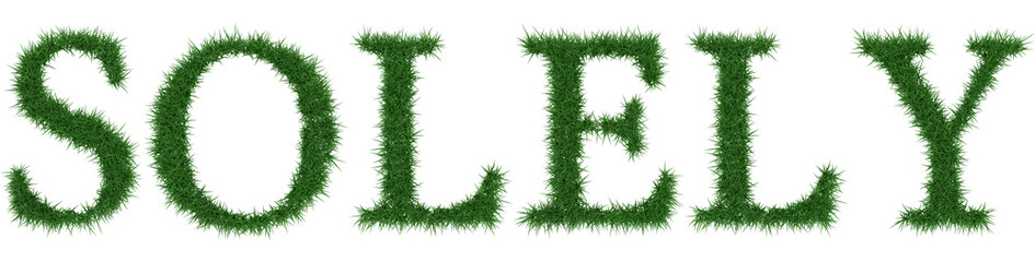 Solely - 3D rendering fresh Grass letters isolated on whhite background.