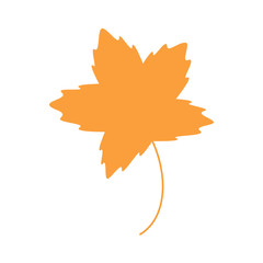 Autumn leaf vector illustration, fall orange maple leaf, graphic icon or print, isolated on white background.