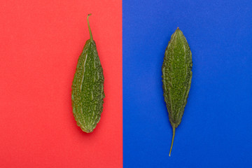 Bitter Cucumber