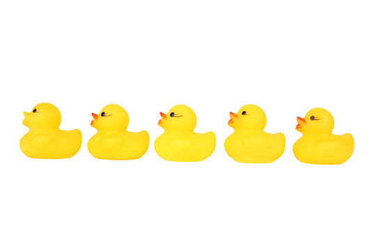 Five yellow plastic rubber duck in a row cut out on and isolated on a white background