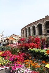 Obraz premium Arena in fiore