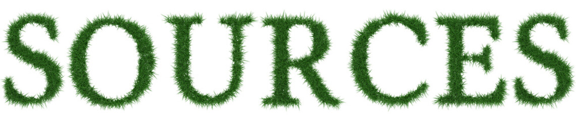 Sources - 3D rendering fresh Grass letters isolated on whhite background.