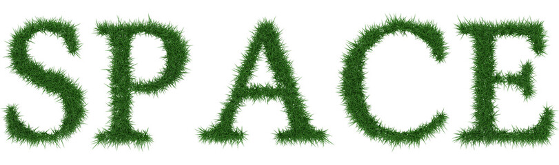 Space - 3D rendering fresh Grass letters isolated on whhite background.