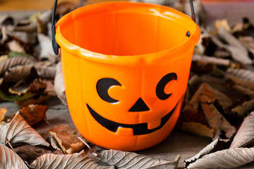 Orange Halloween candy bucket surrounded by leaves © bacothelock