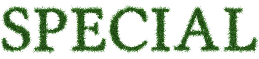 Special - 3D rendering fresh Grass letters isolated on whhite background.