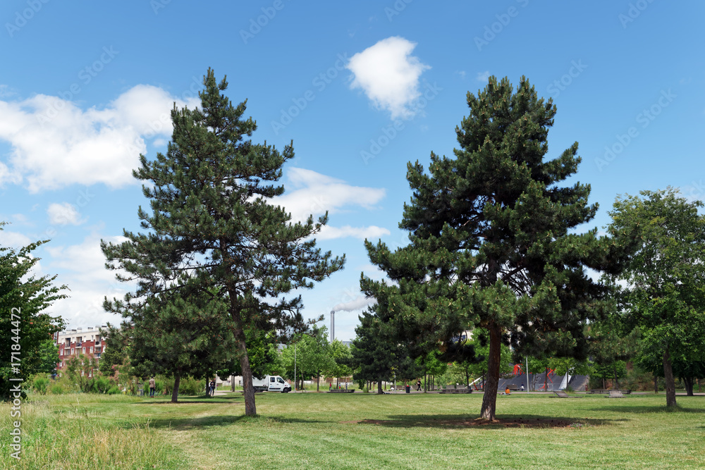 Canvas Prints Parc  des Cormailles en proche banlieue de Paris 