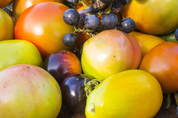 autumn harvest