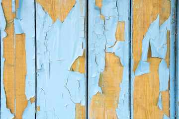 Background aged peeling wood blue texture