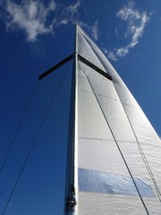 Белый парус в синеве неба