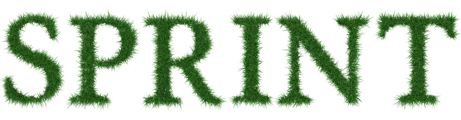 Sprint - 3D rendering fresh Grass letters isolated on whhite background.