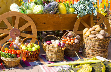 Vegetables and fruits in Russian folk style. Harvest of potatoes, onions, carrots, beets, garlic, cabbage, tomatoes, cucumbers, Peking cabbage, cauliflower, pumpkin, zucchini, sunflower, apples.