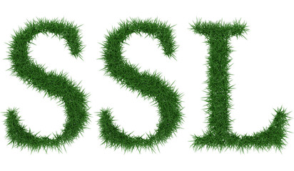 Ssl - 3D rendering fresh Grass letters isolated on whhite background.