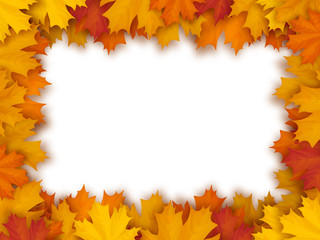 Vector frame of fallen maple leaves, isolated on white background. Decorative border for seasonal autumn card.