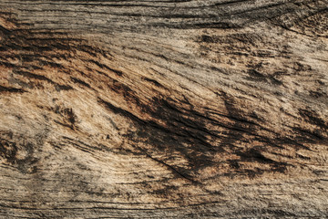 Old wooden texture, wood texture background