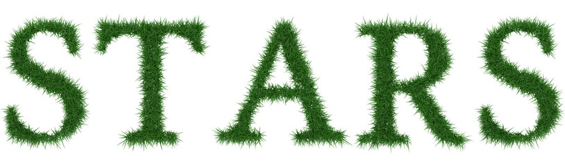 Stars - 3D rendering fresh Grass letters isolated on whhite background.