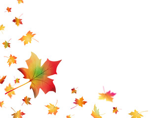 Autumn background with falling leaves. Watercolor maple leaf with flying  foliage in motion blur. Fall vector design
