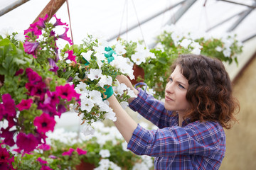 happy female nursery worker trimming plants in greenhouse