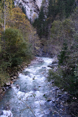 Spring water, mountain river. Slovenia
