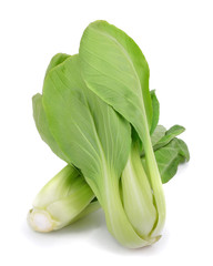 Pak Choi isolated on white background