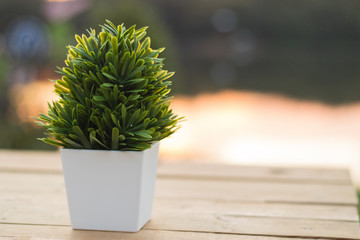 Artificial plant on wooden with sunset background