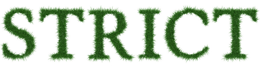 Strict - 3D rendering fresh Grass letters isolated on whhite background.