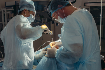 surgery performing nose surgery on woman in plastic surgery centre