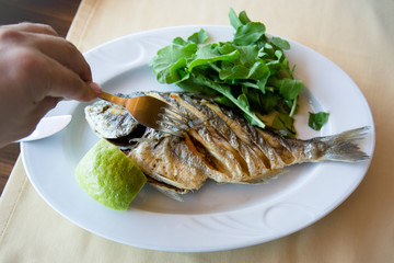 Gilt head bream fish on the table with lemon
