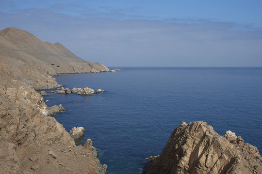 「Pisagua」の画像 66 件の Stock 写真、ベクターおよびビデオ Adobe Stock