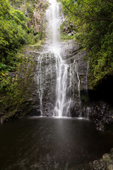 Fototapeta na wymiar Waterfall in Maui, Hawaii