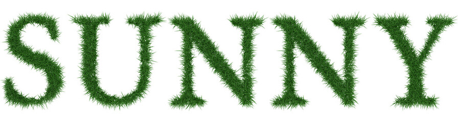 Sunny - 3D rendering fresh Grass letters isolated on whhite background.